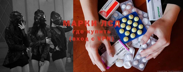 шишки Алзамай