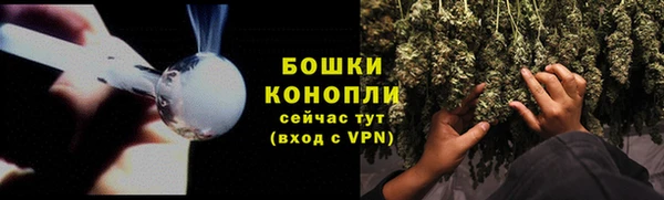 шишки Алзамай